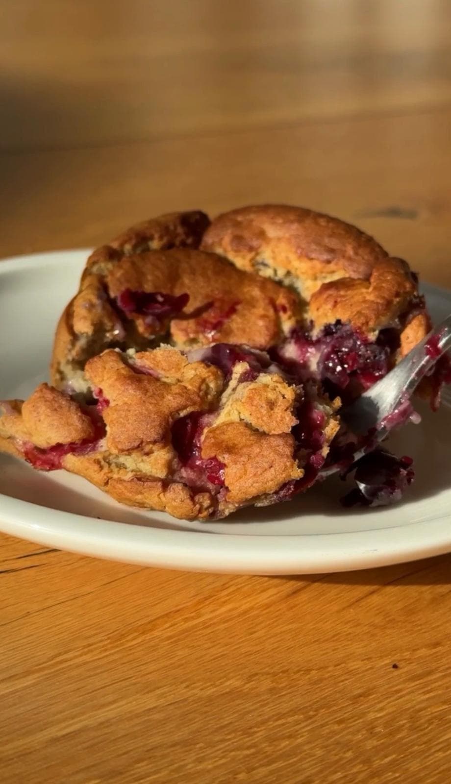Antiendzündliche Blondie Küchlein